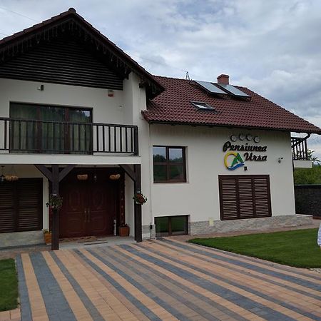 Pensiunea Ursa Bistrita Bargaului Exterior foto