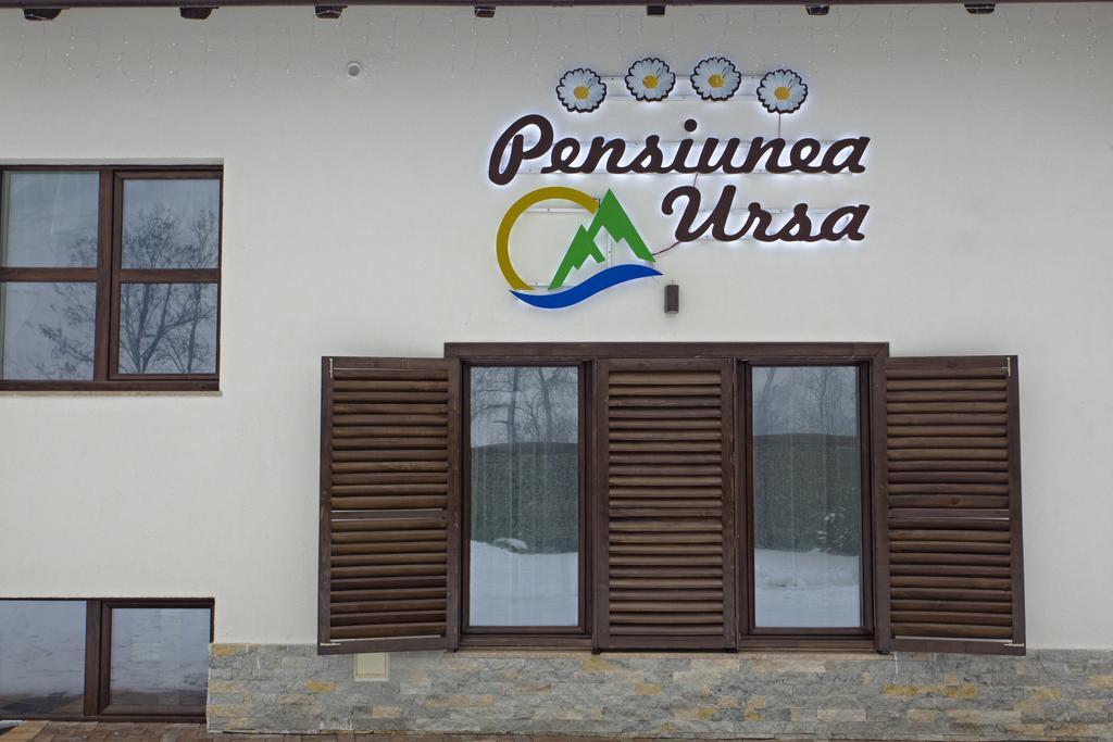 Pensiunea Ursa Bistrita Bargaului Exterior foto